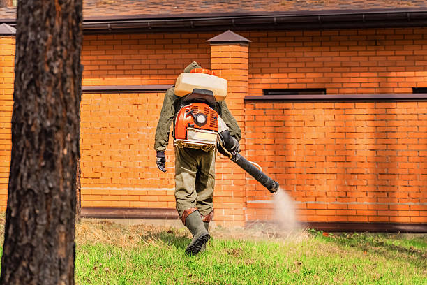 Bed Bug Clearance Verification and Documentation in Barstow